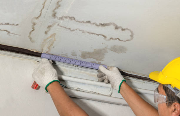 Reliable Water Damage contractor in Massachusetts, MA by Water Damage Irwin